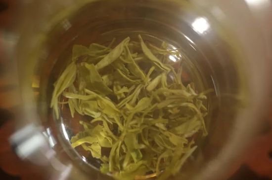 碧螺春正確泡法和飲用，碧螺春茶泡茶方法與溫度