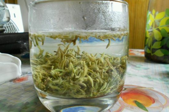 碧螺春正確泡法和飲用，碧螺春茶泡茶方法與溫度