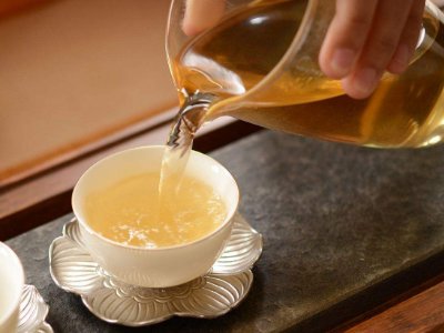 茶葉的專業(yè)知識，關(guān)于茶的基本知識大全