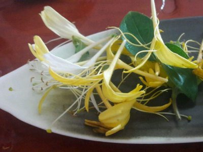 喝茶治口臭嗎，什么茶治口臭好？