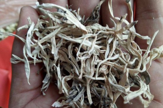 麗江雪茶的禁忌，白雪茶的副作用