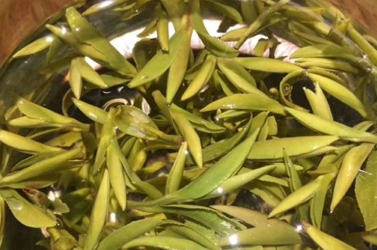 八大茶系都有哪幾種，八大茶系都是什么名字