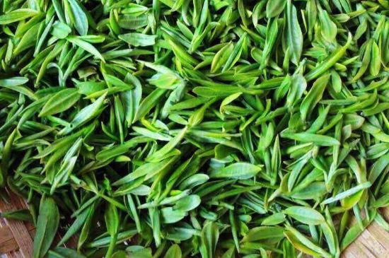 云霧綠茶的功效及禁忌，哪些人不適合喝云霧茶