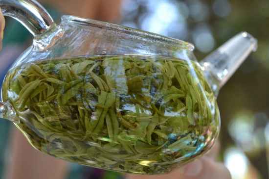 新手學(xué)泡茶的基本常識，從零開始學(xué)泡茶