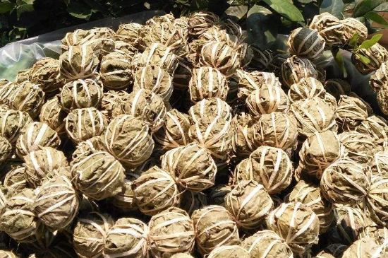 鷓鴣茶的禁忌，海南鷓鴣茶副作用