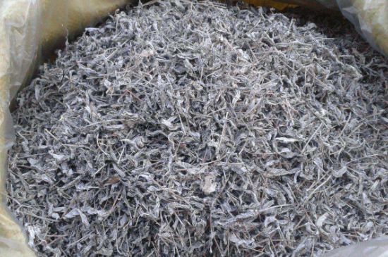 怎樣辨別莓茶發(fā)霉了，莓茶發(fā)霉和白霜的區(qū)別