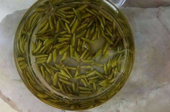 茶葉在哪里買比較好，哪里能買到好的茶葉