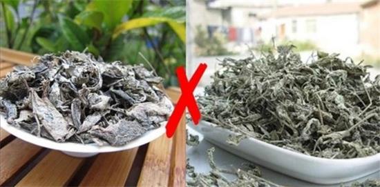 張家界茅巖莓茶與藤茶是同一種茶嗎，藤茶跟莓茶一不一樣？