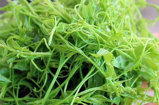 茅巖莓茶別名是什么，莓茶別名叫藤茶嗎？