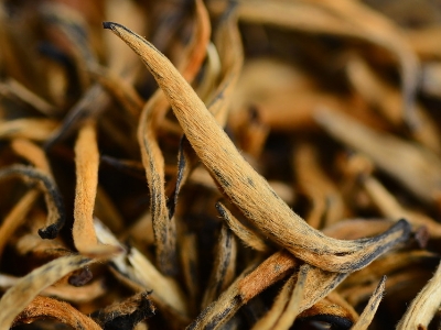 怎么知道什么茶葉適合自己，怎么判斷自己適合喝什么茶？