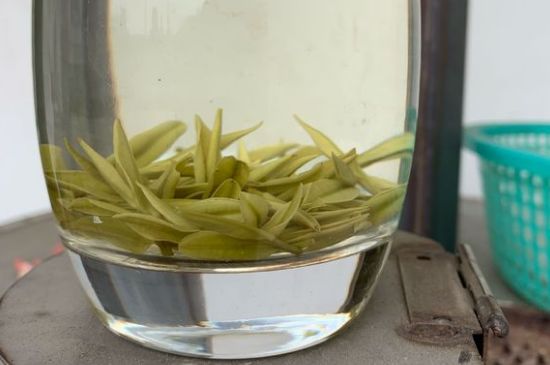 安吉白茶耐寒嗎，白茶適合放冰箱嗎