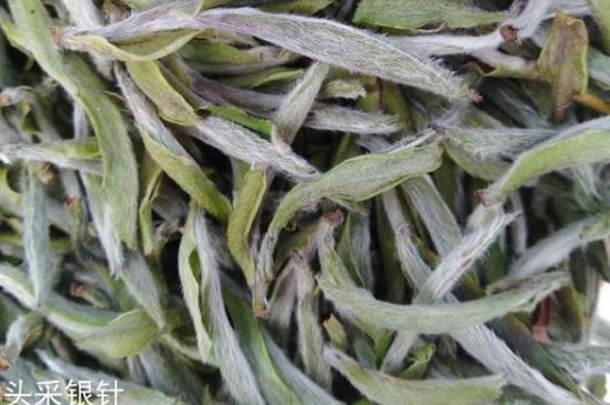 春茶季怎么辨別白毫銀針的好壞，好的白毫銀針如何選購？