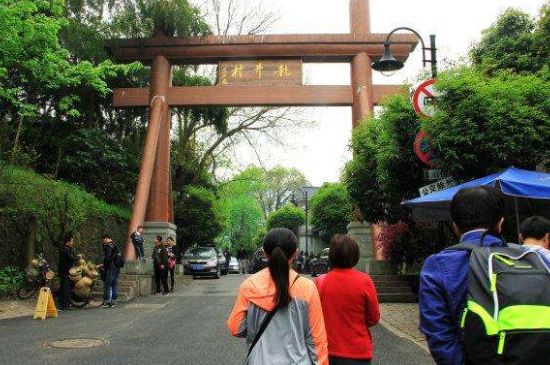 杭州買龍井茶攻略，怎么買到正宗的西湖龍井？