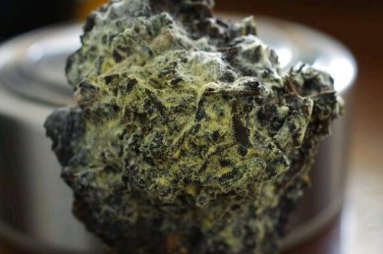 涇渭茯茶保質期多久，陜西涇渭茯茶能放幾年