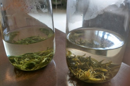 真假碧螺春泡水后區(qū)別，蘇州洞庭碧螺春怎樣鑒別好壞？