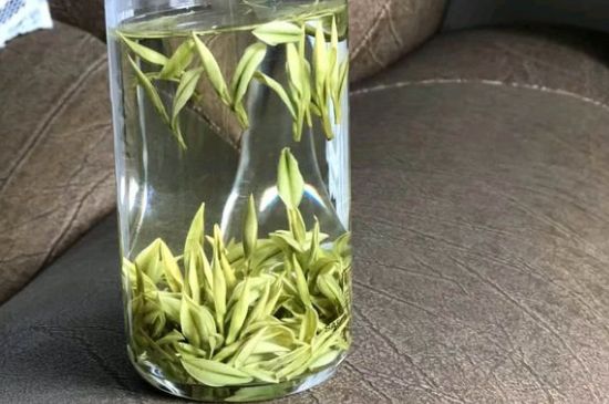 安吉白茶夏天怎么保存，安吉白茶能冷凍儲(chǔ)存嗎？