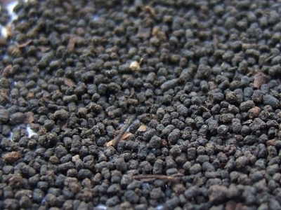 圓形顆粒狀茶是什么茶，像飼料一樣一粒粒的是什么茶？