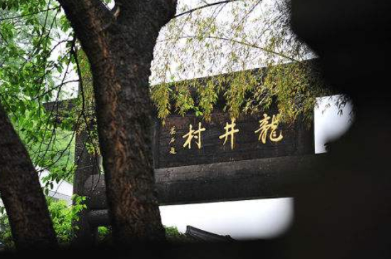 杭州買龍井茶攻略，怎么買到正宗的西湖龍井？