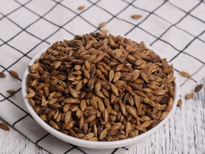 圓形顆粒狀茶是什么茶，像飼料一樣一粒粒的是什么茶？