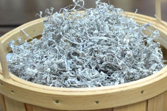 張家界莓茶真假對比，野生莓茶的鑒別方法