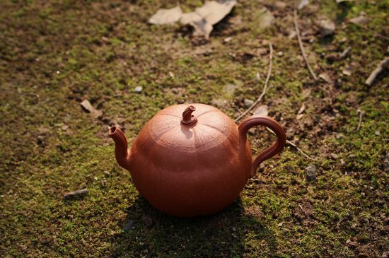 紫砂壺泡什么茶最佳，紫砂壺一般泡什么茶？