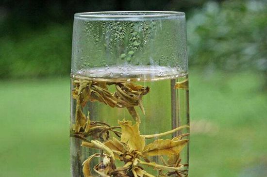 茉莉龍珠什么人不能喝，茉莉龍珠茶什么體質(zhì)不能喝？