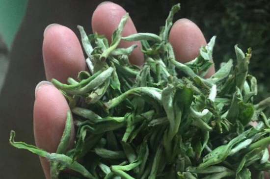 茉莉茶如何制作曬干，自制茉莉茶的做法