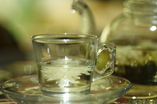 菊花茶天天喝行嗎，每天喝菊花泡茶喝好嗎？