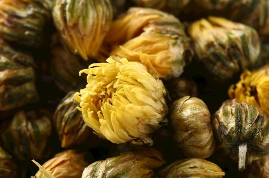 蒲公英搭配大全，蒲公英泡水喝的8種搭配