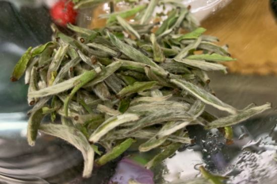 蒸汽煮茶器適合什么茶，蒸汽煮茶器適合用綠茶嗎？
