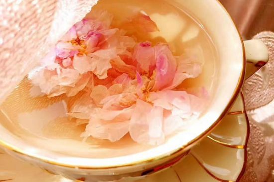 玫瑰花茶一周喝幾次，玫瑰花茶可以天天喝嗎？
