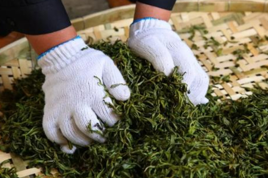 綠茶加工工藝流程圖，綠茶的加工制作包含哪幾個(gè)步驟？