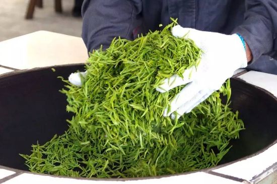 自家炒茶葉怎么炒，自己炒茶葉的步驟