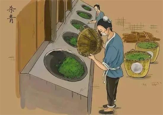 制茶八步驟，制茶工藝流程圖