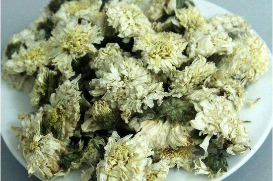 菊花茶買小朵還是大朵，泡茶用的小菊花和大菊花哪個(gè)好