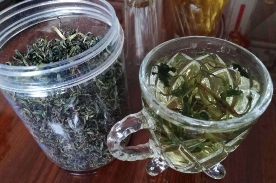 蒲公英最佳搭配，蒲公英茶和什么搭配泡水最佳