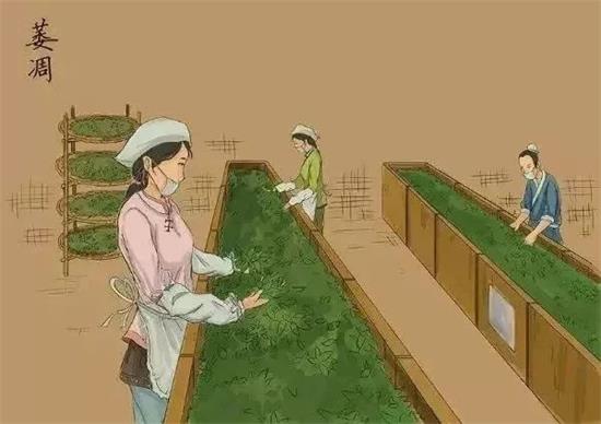 制茶八步驟，制茶工藝流程圖