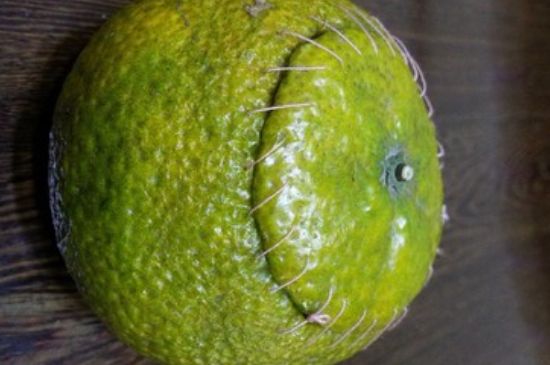 家庭自制柑普茶方法，小青柑制作9個(gè)步驟竅門（圖片）