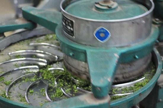 武夷巖茶的初制、精制加工工藝詳細(xì)講解