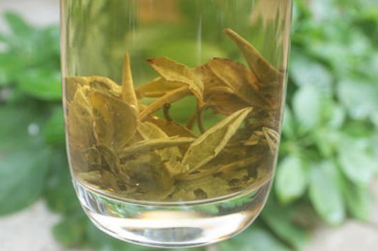 茉莉龍珠泡開后為什么都是梗，茉莉龍珠泡開后什么樣？