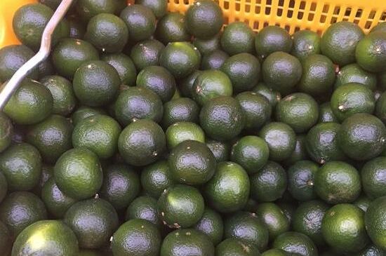 家庭自制柑普茶方法，小青柑制作9個(gè)步驟竅門（圖片）