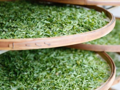 云南八大茶系分別是哪些，都是什么名字