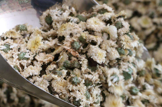 菊花茶買小朵還是大朵，泡茶用的小菊花和大菊花哪個(gè)好