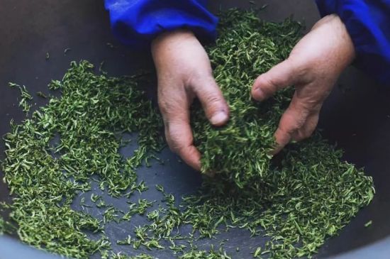 自家炒茶葉怎么炒，自己炒茶葉的步驟