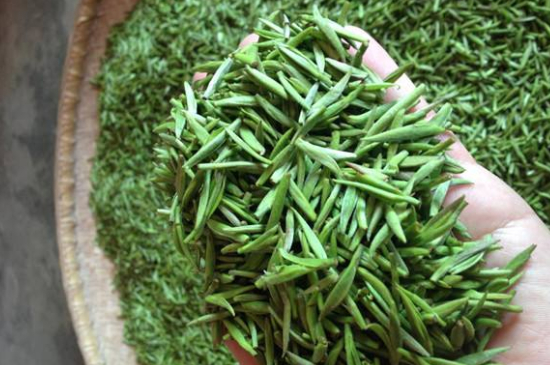 采茶的方法與步驟，如何正確采摘茶葉？