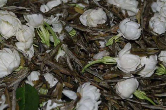 茉莉龍珠怎么做的，茉莉龍珠的制作工藝