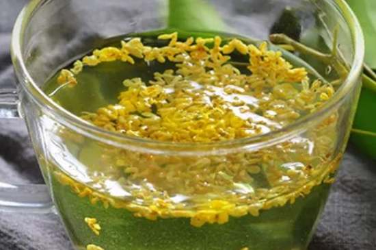 茉莉茶一次泡幾朵，茉莉茶放多少