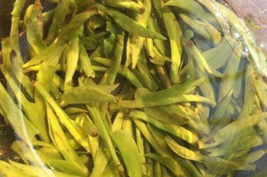 龍井是明前的好還是雨前的好，明前茶和雨前茶哪個好喝？