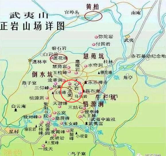 母樹大紅袍給誰喝了，為什么母樹大紅袍叫三棵六株？