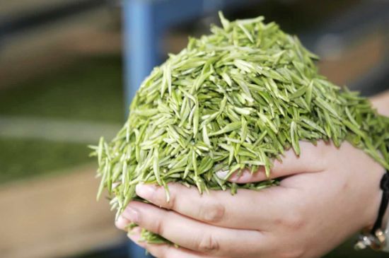 高山云霧茶屬于什么茶，高山云霧茶哪里的最好